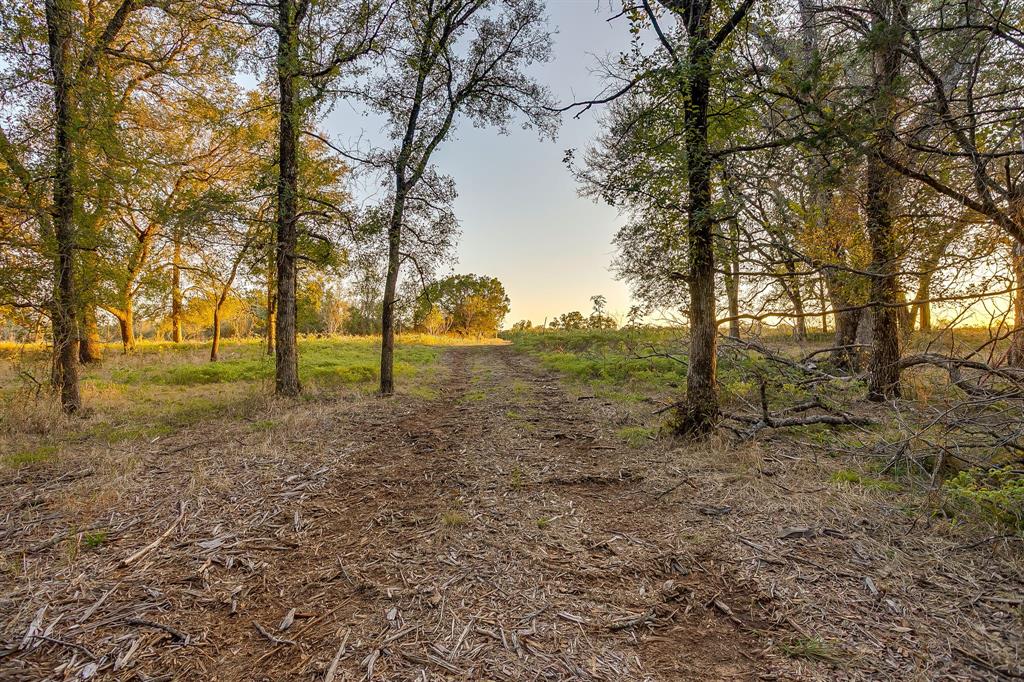 River Canyon Ranch - Land