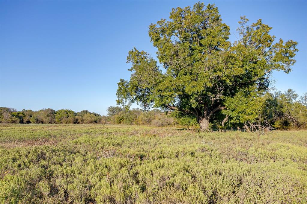 River Canyon Ranch - Land