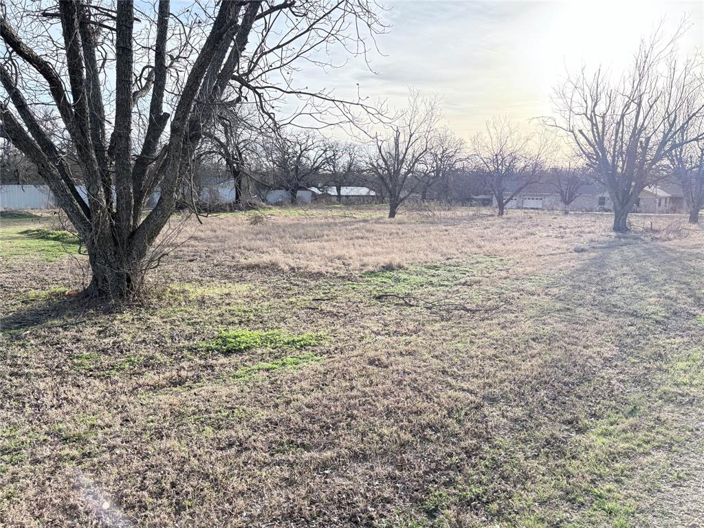 Olsons Green Acres - Land