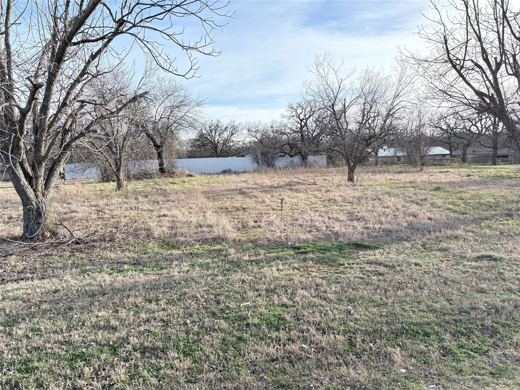 Olsons Green Acres - Land