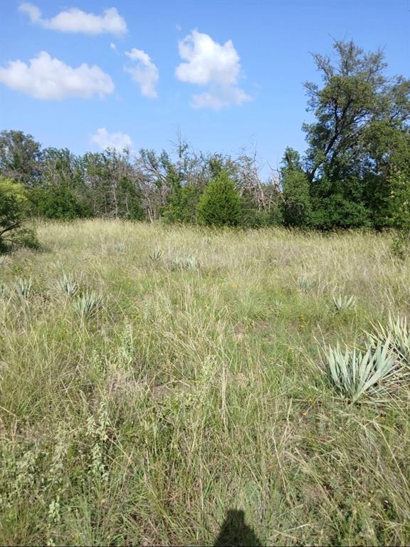 Lot 6 on County Road 601 in the Frog Addition offers an exceptional opportunity to build your dream home on a spacious half-acre lot in a peaceful setting. This homesite combines the beauty of wide-open Texas landscapes.
Conveniently located approximately 12 miles from Brownwood, the property provides the perfect balance between quiet country living and easy access to everyday amenities. Situated along County Road 601, the lot offers a welcoming approach and flexibility in designing a custom residence that fits your lifestyle. Whether you envision a modern farmhouse, a classic ranch-style home, or a more contemporary build, this property provides the space and setting to bring your vision to life.
Outdoor living possibilities abound, with room for covered patios, entertaining spaces, and thoughtfully designed landscaping that takes full advantage of the natural surroundings. 
If you’re seeking a property that offers privacy, structure, and long-term value, Lot 6 is an ideal choice for your next home or investment opportunity.