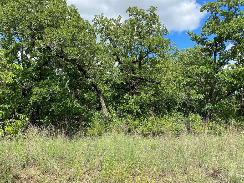 Nocona Hills - Land