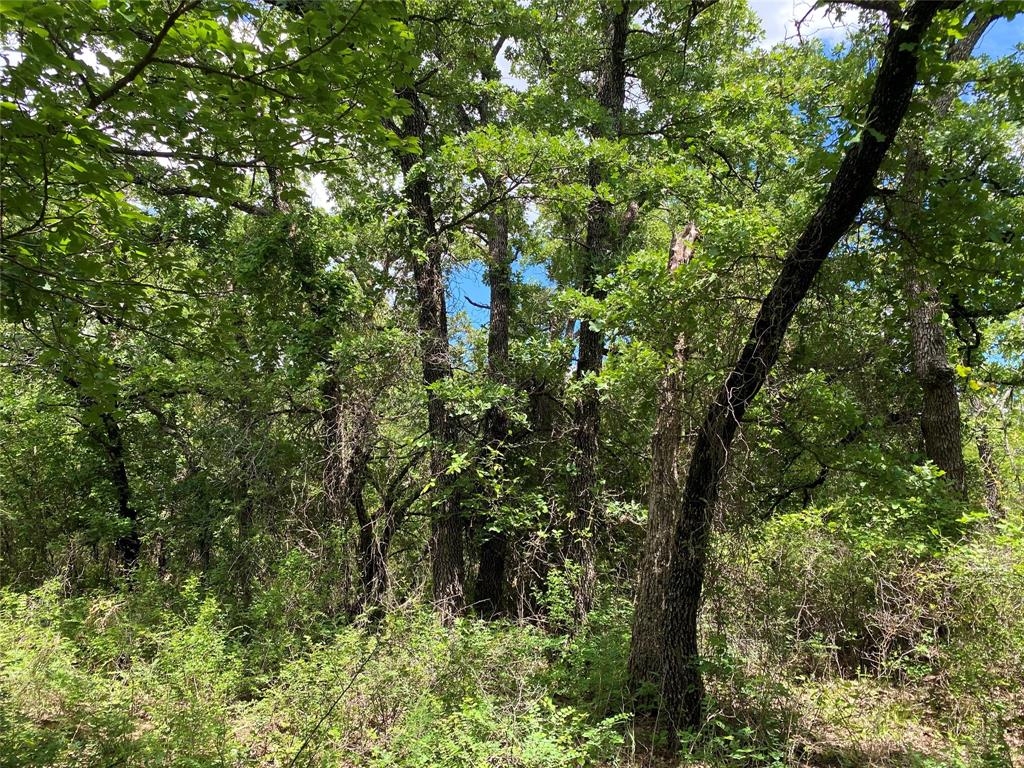 Nocona Hills - Land