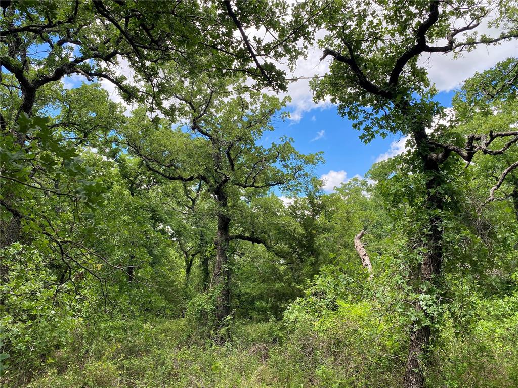 Nocona Hills - Land