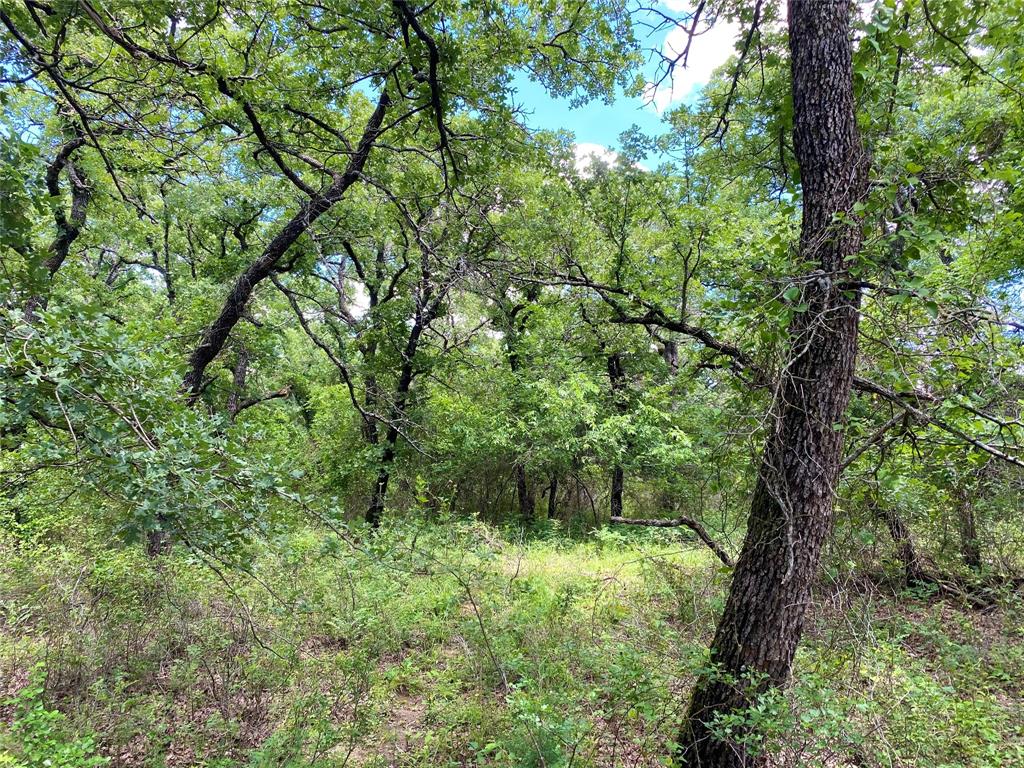 Fantastic 1.5 acre corner lot in the private gated community of Nocona Hills. This lot is heavily wooded with several mature oaks and ready for your private retreat. Water and power are already available, and the purchase of this tract gets you access to all the amenities Nocona Hills has to offer including lake access and private golf course. There is also a landing strip for the aeronautical enthusiasts out there. From the front gate Nocona, Texas is only a 12 minute drive and offers restaurants, groceries, hardware stores, and all the necessities of life. If you are looking for a private and safe place to relax or live, this is the place for you!