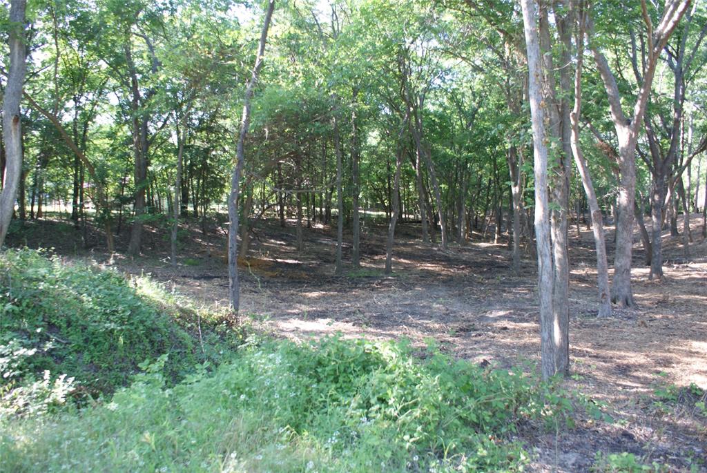 MOTIVATED SELLER!! Here is a 3.88 acre piece of the country with no HOA! Great place to build a home, put your mobile or manufactured home or even your RV! Seller is very motivated so bring all offers! Property was cleared a few years ago but has since grown back up. This property is walking distance to Lake Tawakoni State Park! Electricity is available at the street. No known restrictions!
