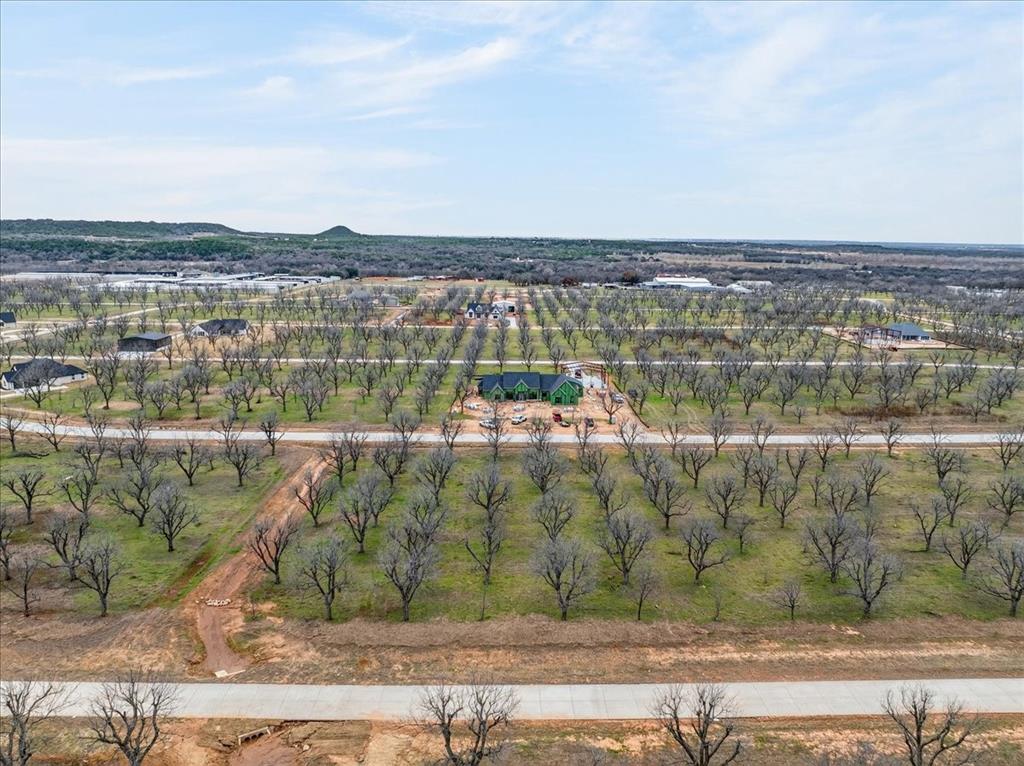 Pecan Plantation - Land