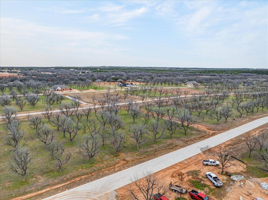 Pecan Plantation - Land
