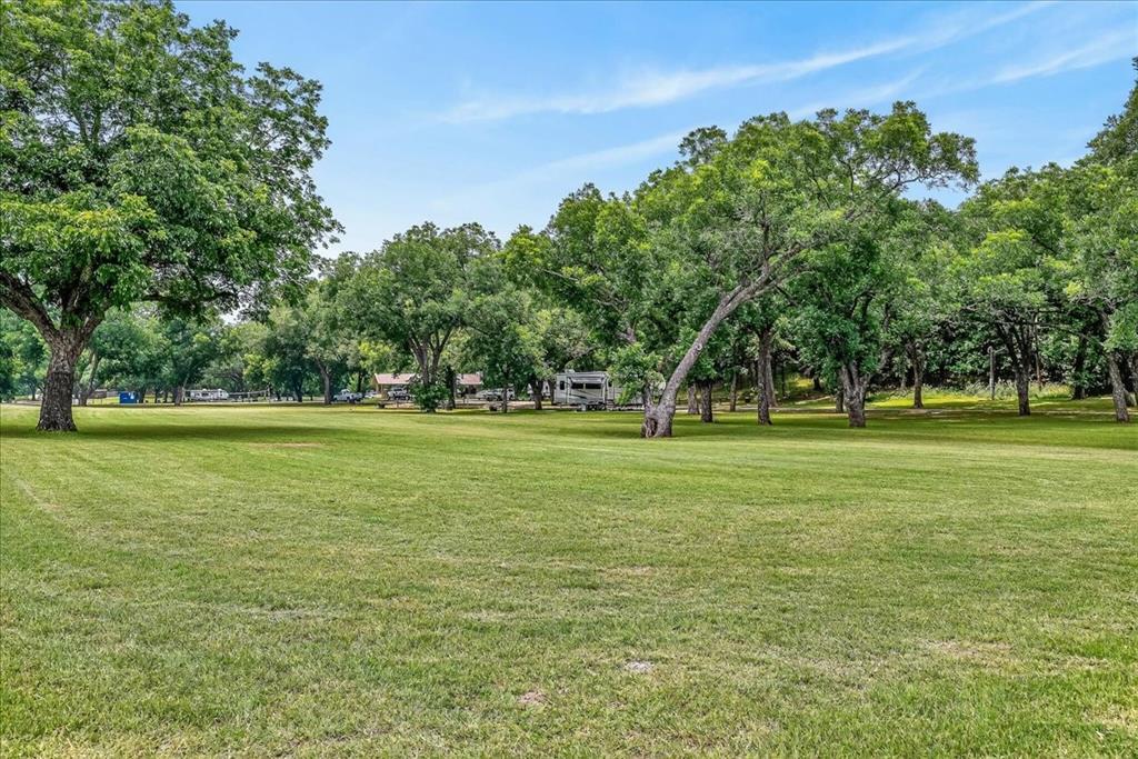 Pecan Plantation - Land