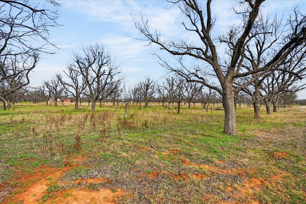 Pecan Plantation - Land