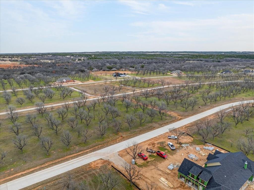 Pecan Plantation - Land