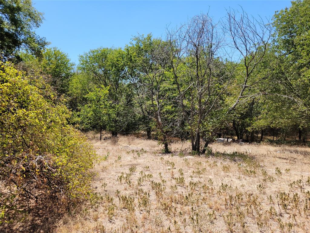 Open lot ready for your dream home to be built on. The Army Corp of Engineers owns the land behind this so you will not have any building behind you.  Currently zoned residential.