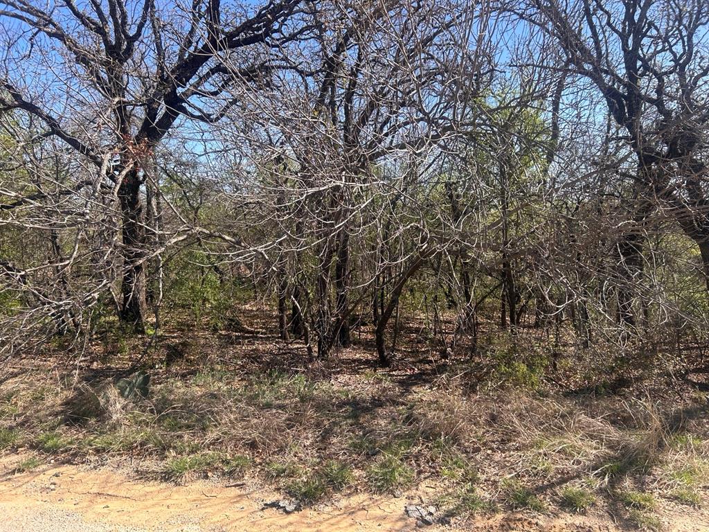This cul-de-sac is already flourishing with desire to build your own home. The neighborhood is shaping up to be a great one. Join in on the opportunity to build a home you always dreamed of. The property is just seconds from lake access in the beautiful city of Runaway Bay and priced for a steal of a deal. Clear some trees and install your utilities and you are well on your way. Palmetto has seen quite the uptick in new builds so primed for easy access to utilities.