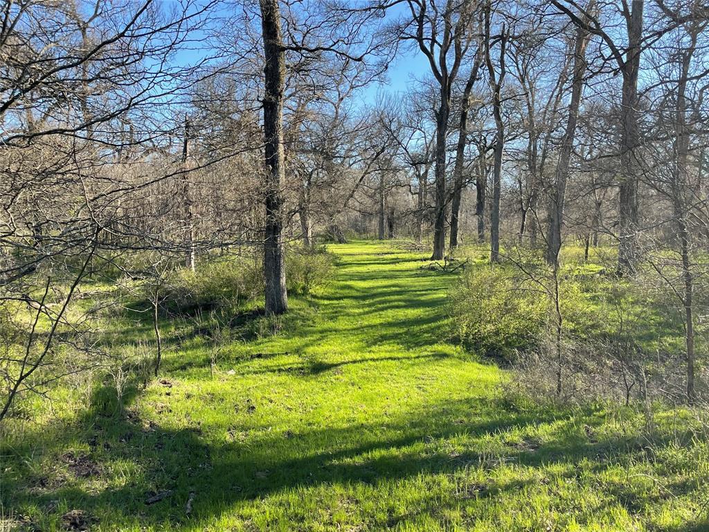 County Land - Residential