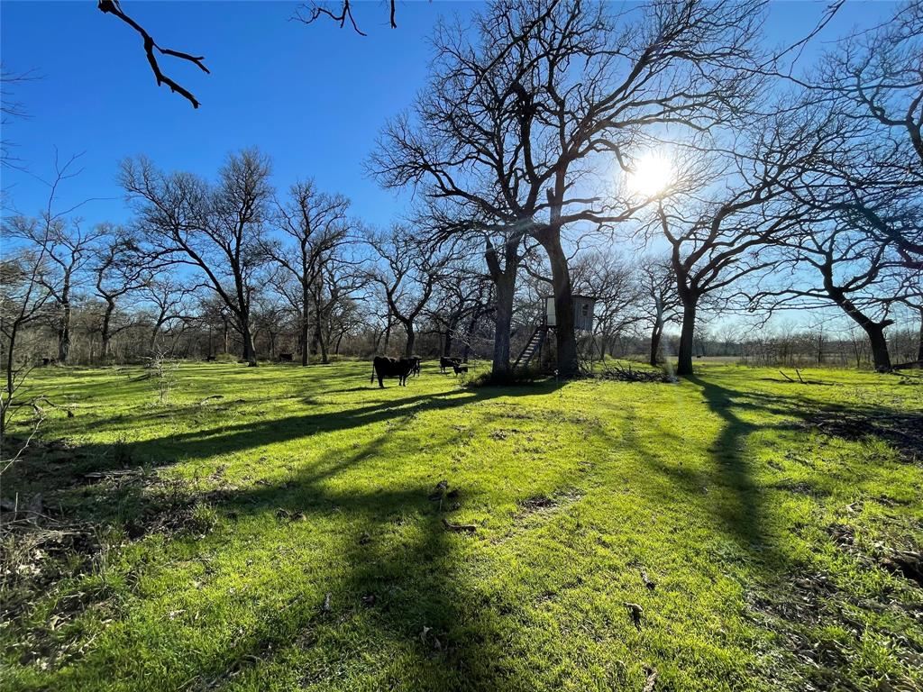 County Land - Residential