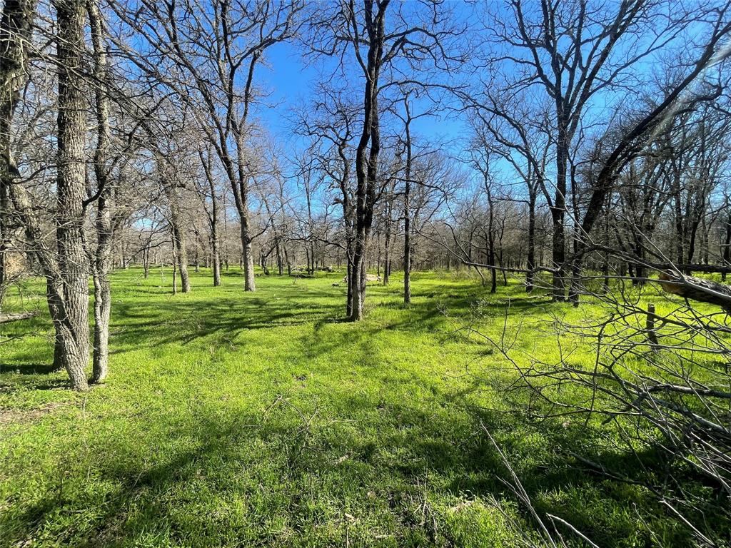 County Land - Residential