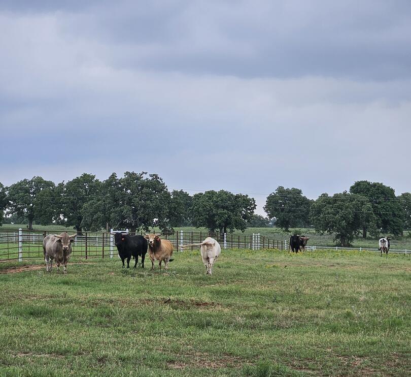 na - Farm