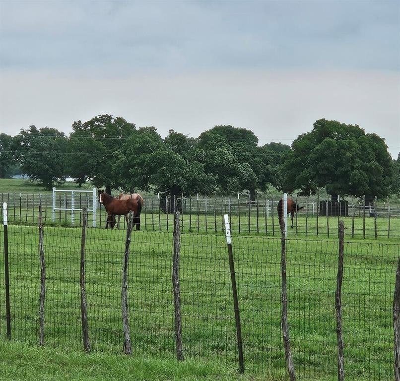 na - Farm