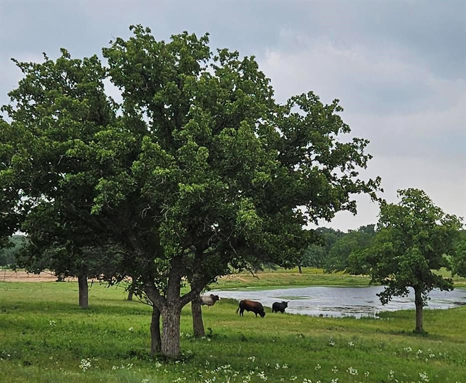 na - Farm