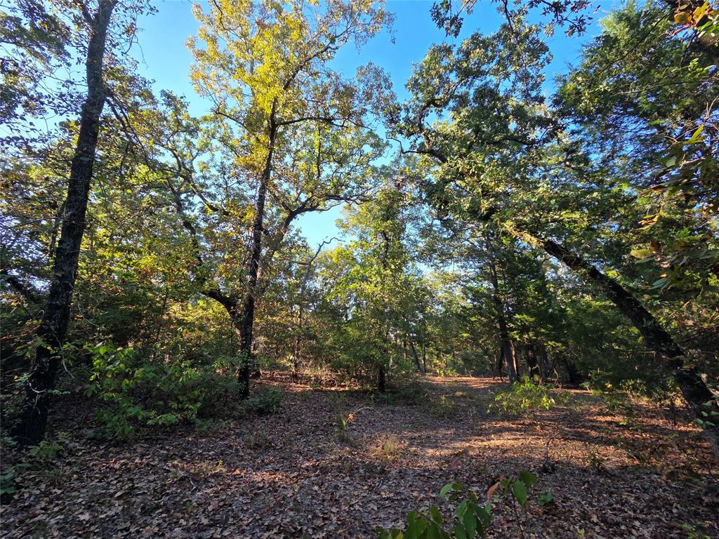 Lot 466 is a beautiful 5.174-acre, heavily wooded lot with mature hardwoods and is located outside the gated section of Safari Waters Ranch on Henderson County Road 4710. This lot has rolling terrain and great home-building sites. A wet weather creek attracts deer and wildlife. Property owners have access to the gated community where deer, zebra, and other exotics roam 1,800 acres. Low POA maintenance fee. This lot is located on a county-maintained blacktop road, approximately 12 miles south of Athens, TX. There are three private lakes at Safari Waters Ranch. Numerous community common areas, RV parking at Camp Safari & dry storage are available for your trailer-RV. Own a piece of this East Texas paradise. You just have to see this community and all the natural beauty, you'll be proud to call this one your own. Close to Athens, TX, but still feels like you live in the country. Bring your boat and pole for trophy bass fishing! Great community to call home! NOTE: Lot 465 nextdoor is also available for sale, a chance to buy both lots and acquire just over 10 acres. See NTRIS MLS #20974860 for more information.