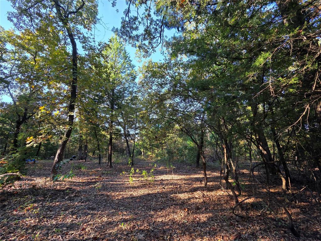 Safari Waters Ranch - Land