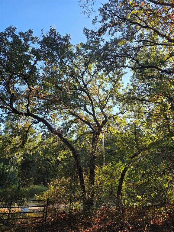Safari Waters Ranch - Land