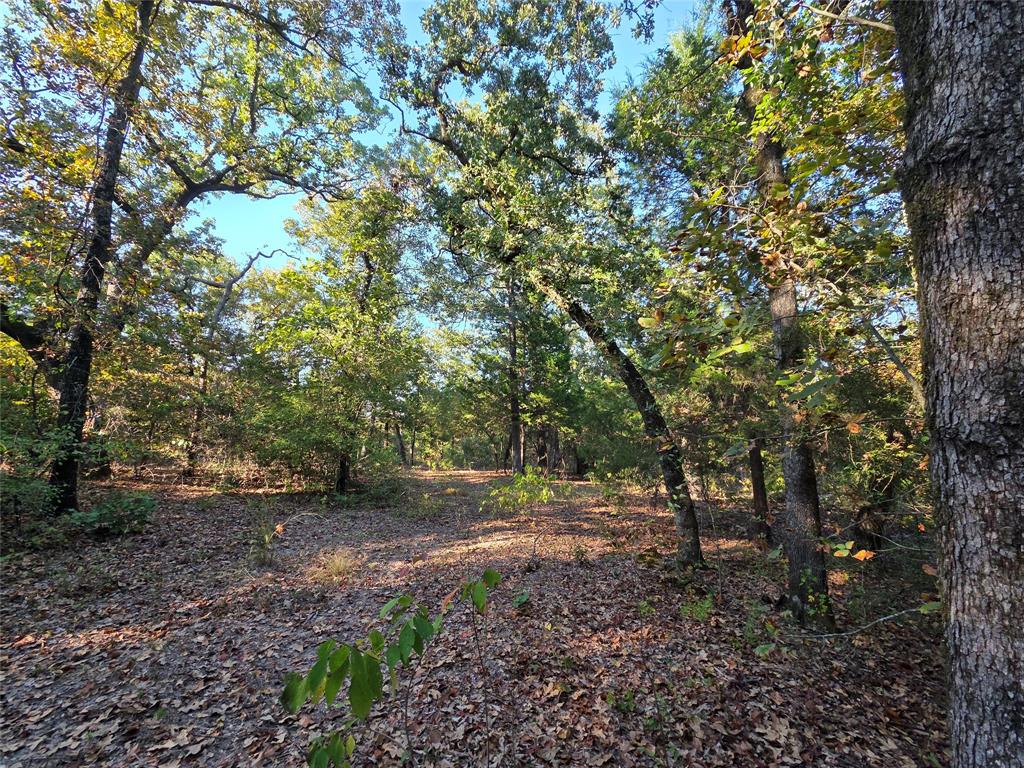 Safari Waters Ranch - Land