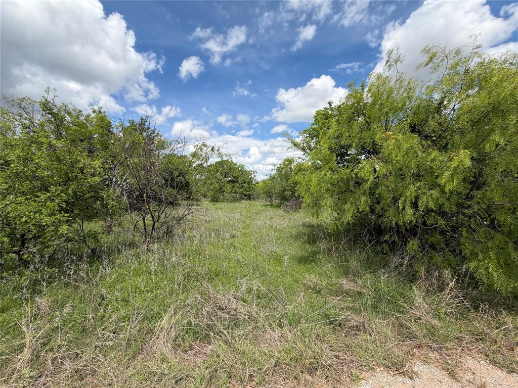 A little piece of Texas just waiting to make a deal. Rectangular in shape, 7.51 Acres + - according to Appraisal Dist. with no known restrictions. Possible homesite and Mnfg.Homes are allowed. Good roads to the property and only about 3.25 miles from hwy 279 close to Lake Brownwood. Water and electricity are at the road but buyer should check with Brooksmith water district for availability. Could be a great place for camping or other recreation, park your RV for a great home base for hunters. For Astronomers and Big Sky Enthusiasts, this hilltop location provides a front row seat to watching stars put on quite a show! Photos on the way!