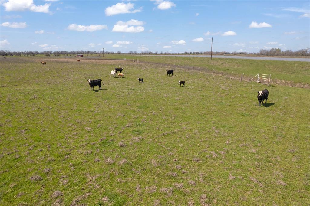NA - Farm