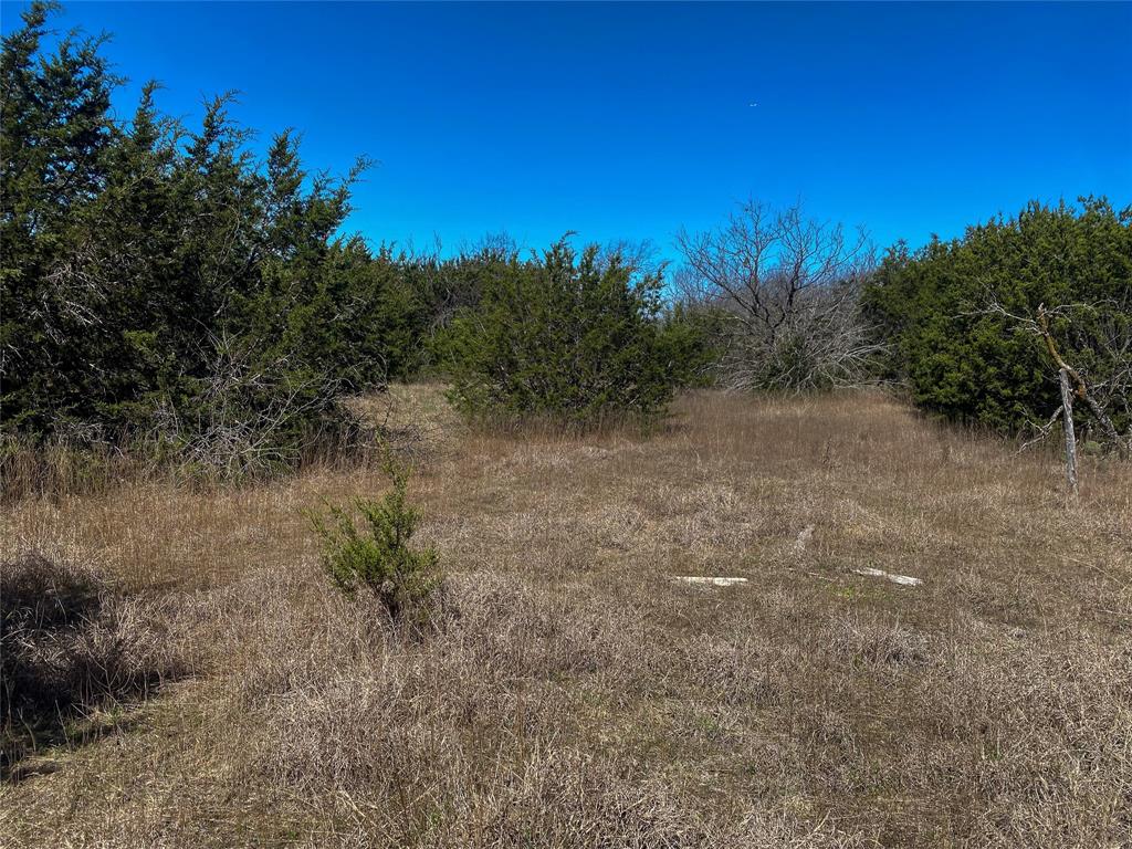 Freedom Estates - Land