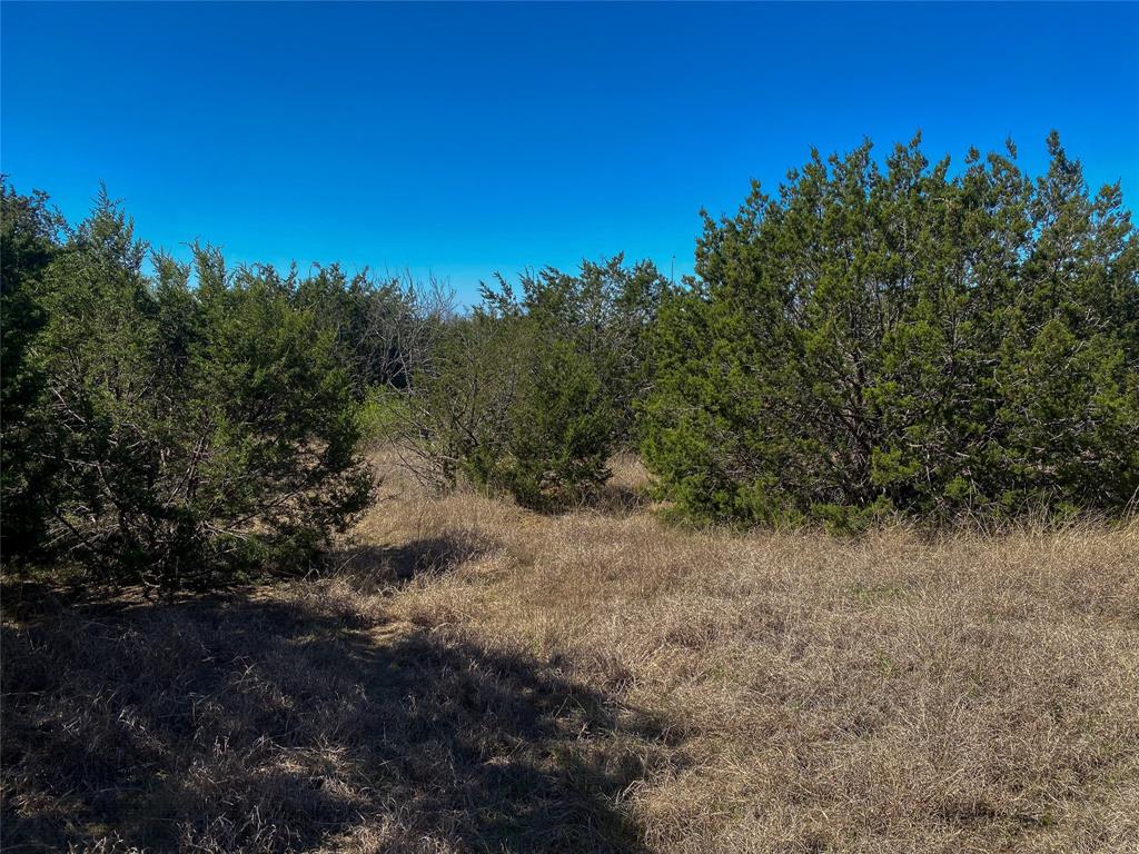 Freedom Estates - Land