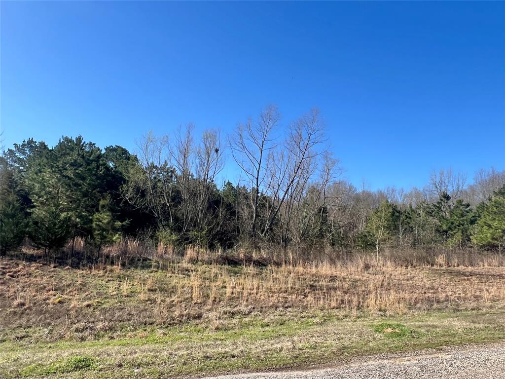 Approx 53 acres where you will find some test wells on the property, along with an approx 1 acre pond. The city has annexed this location along with some neighboring tracts. Beautiful place, in a wonderful area with so much potential! Country feel, but still close to town!