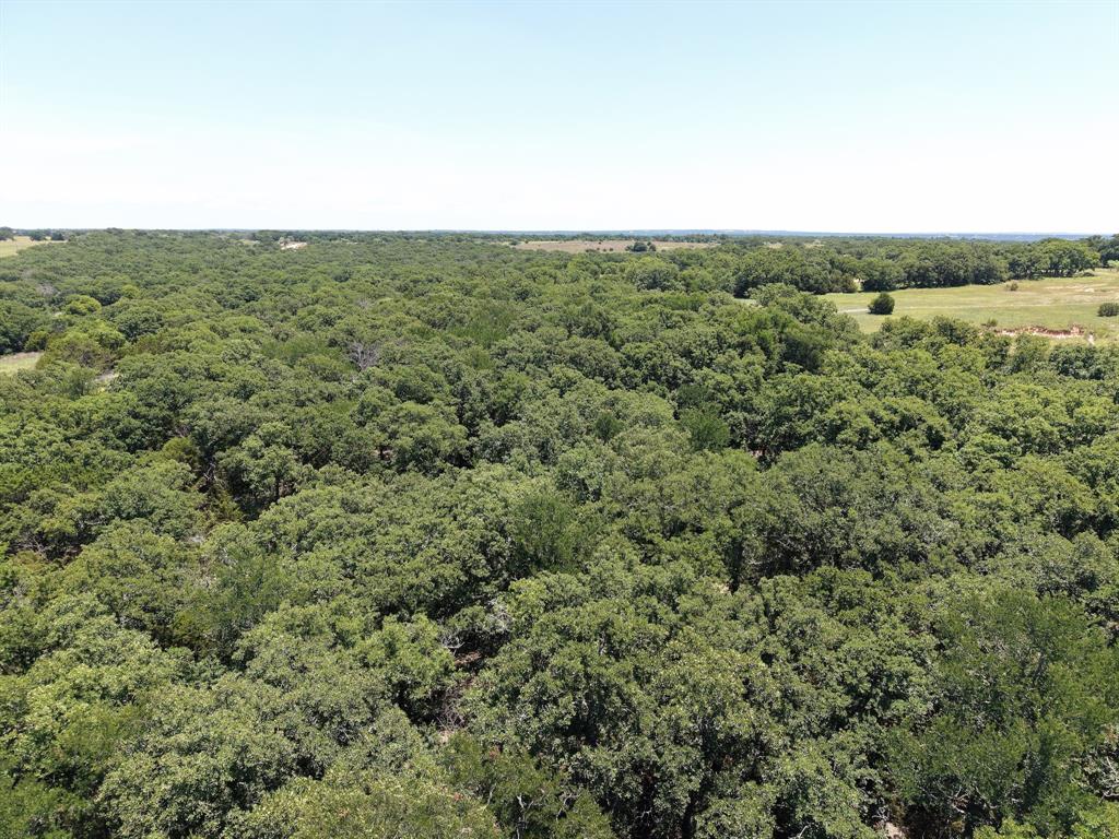 Stallion Meadow Estates - Land