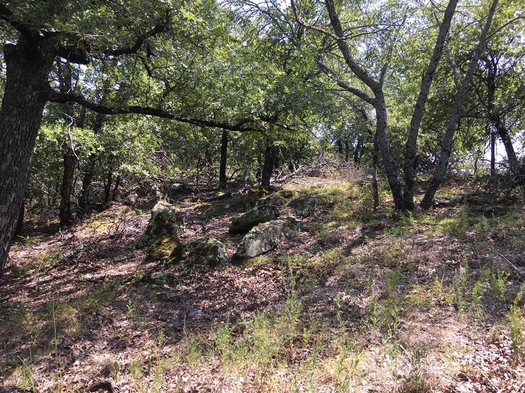 Silver Lakes Ranch - Land