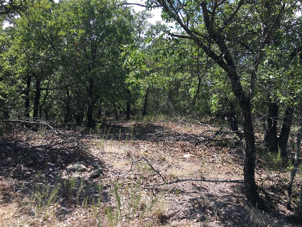 Silver Lakes Ranch - Land