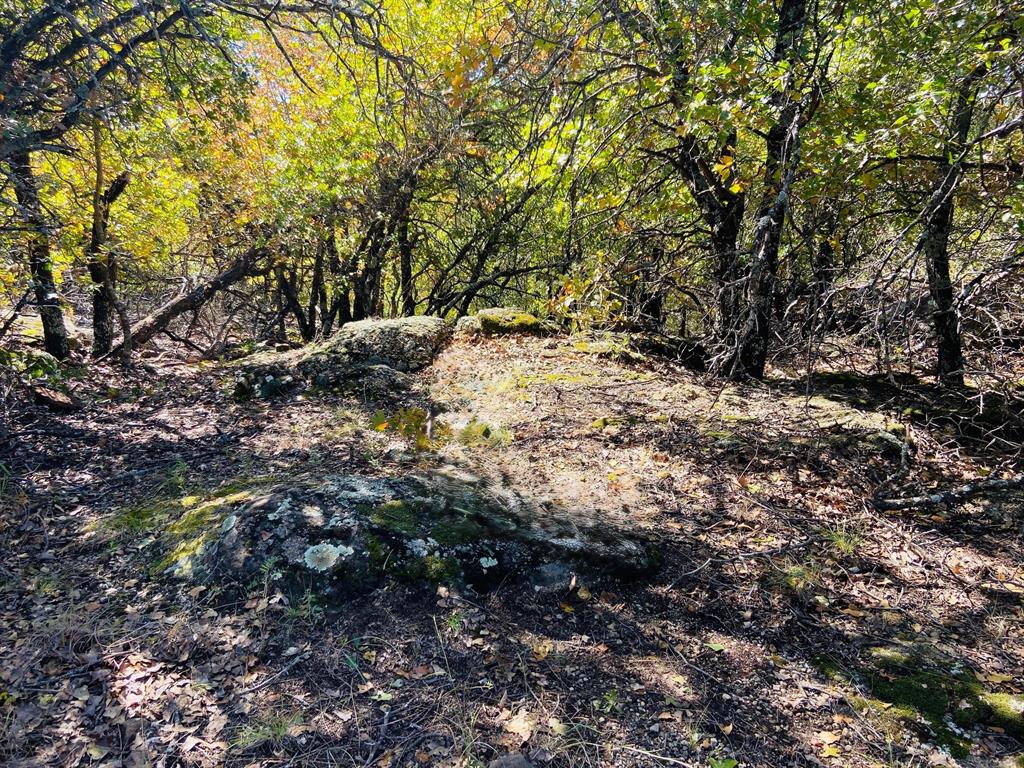 Silver Lakes Ranch - Land