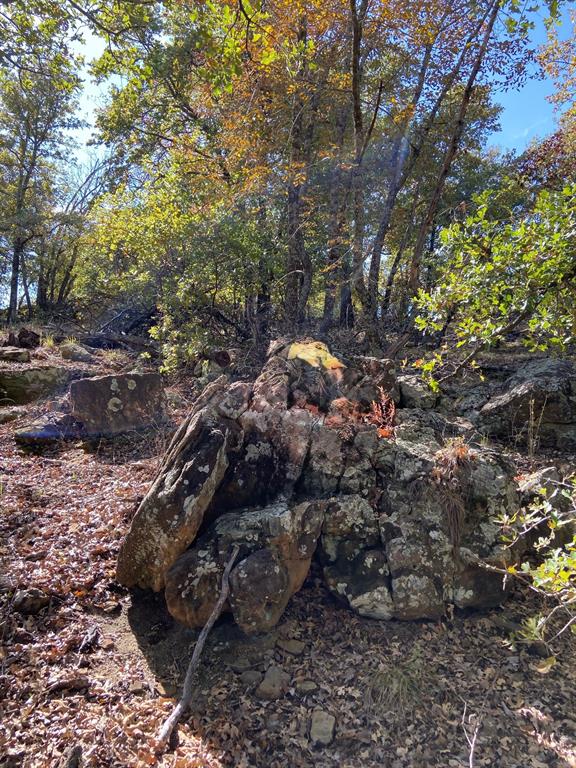 Silver Lakes Ranch - Land
