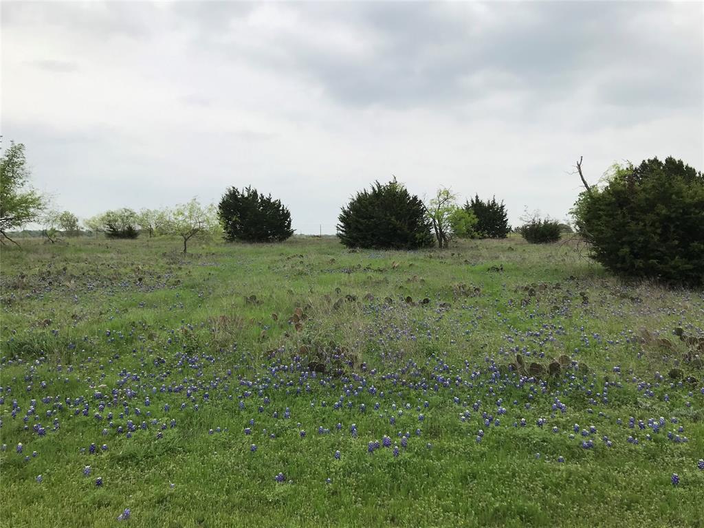 White Bluff #34 - Land