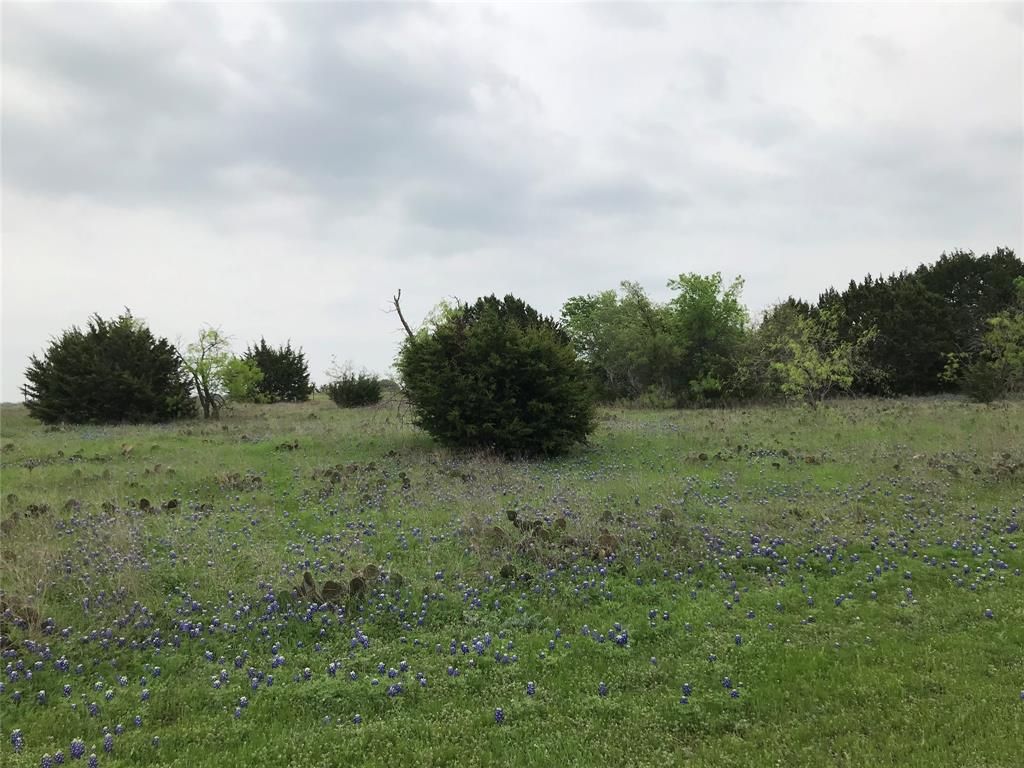White Bluff #34 - Land