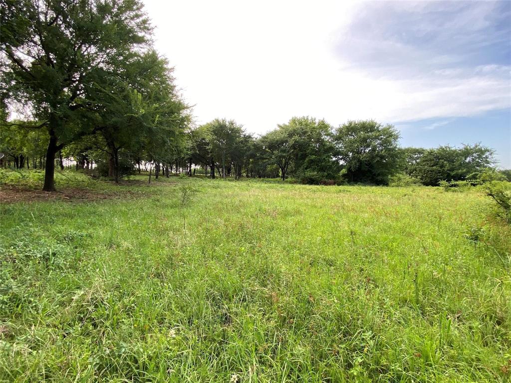 Rare opportunity to purchase a breathtaking, untapped 22.79 acre tract located just minutes from Lake Ray Roberts and Isle du Bois State Park. Adjacent to historic Valor Farms and surrounded on all sides by pristine equestrian estates, this property offers both privacy and long-term potential in one of North Texas’ most desirable corridors. With paved frontage along FM 455 and an 8-inch water line at the street, the land presents exceptional flexibility — ideal for a developer or the creation of a premier estate. Gently rolling topography, 100+ year-old oak trees, sandy loam soil create a setting that is both functional and picturesque. The established trees provide natural privacy and depth throughout the property. Mustang Water available at the street. Current Wildlife Exemption in place offering lower property taxes. Easy access to US 380 and the DFW Metroplex and only minutes to charming historic downtown Pilot Point. 45 minutes to DFW International Airport. Additional 37 acres available see MLS 21176353. No flood plain.