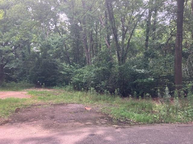 This is a rare opportunity to own more than one-third of an acre in an established area of Tyler full of beautiful trees. This residential lot is zoned Single Family – and with all the trees you can clear just those needed to build your custom home while retaining the natural beauty of mature trees! This quiet neighborhood is only one mile from downtown and close to schools, restaurants and shopping – the perfect place to build your dream home surrounded by trees while keeping the convenience of city life! The lot can also be subdivided, presenting a future investment opportunity!