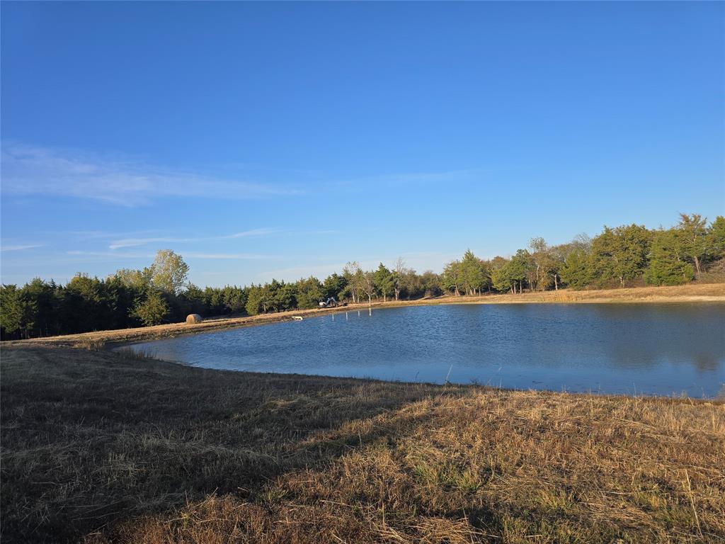 Discover this beautiful 42-acre  privacy Texas paradise,  a rare blend of privacy, views, and usability. This tract is partially fenced, features a large scenic pond, and is filled with majestic Oak and Cedar trees, creating an ideal setting for a secluded country home, recreational retreat, or working farm and providing natural beauty and privacy.
Located less than a mile from Hwy 82 and in close proximity to Lake Bois D'Arc Lake and the upcoming Lake Ralph Hall development, this property offers unmatched convenience while maintaining the peaceful feel of rural living. With rolling terrain, mature shade trees, and multiple picturesque  views  overlooking the large point, this land is ready for your vision and Excellent natural elevation.