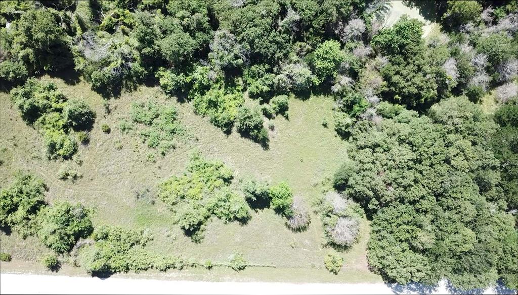 Hilltop Ranch - Land
