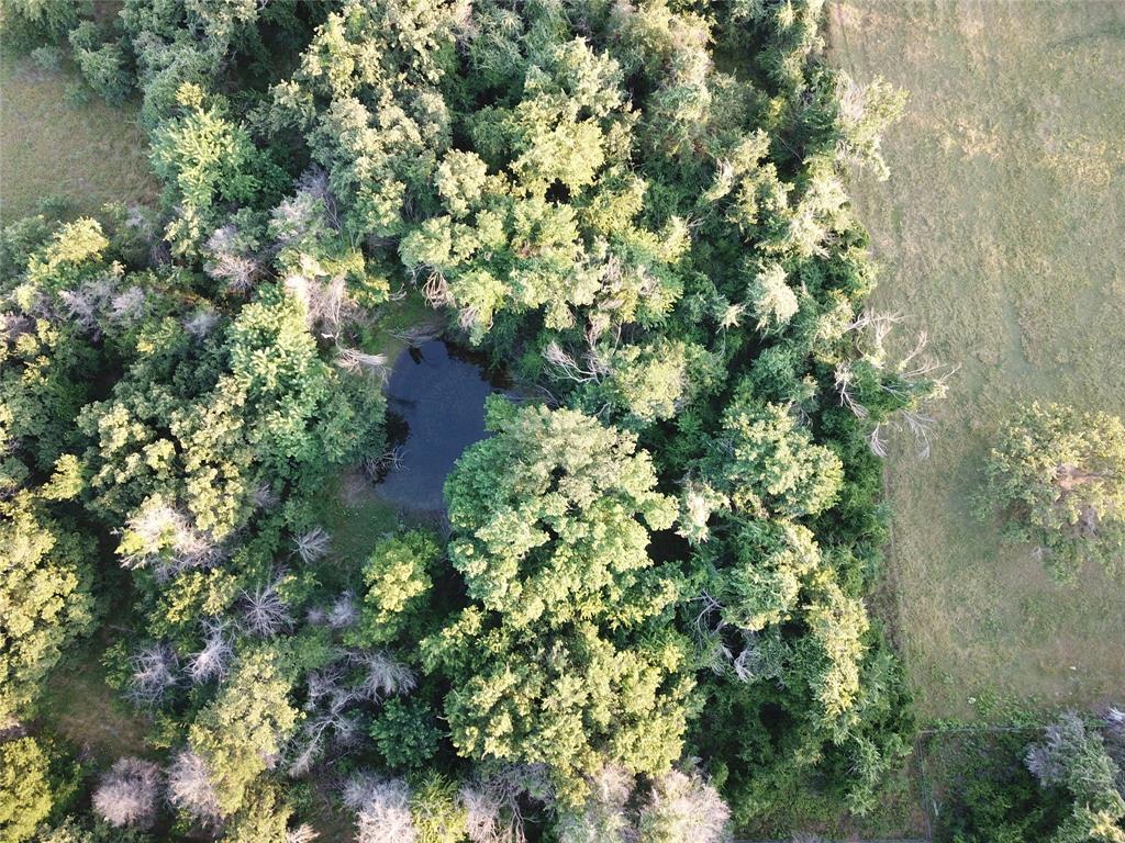 Hilltop Ranch - Land