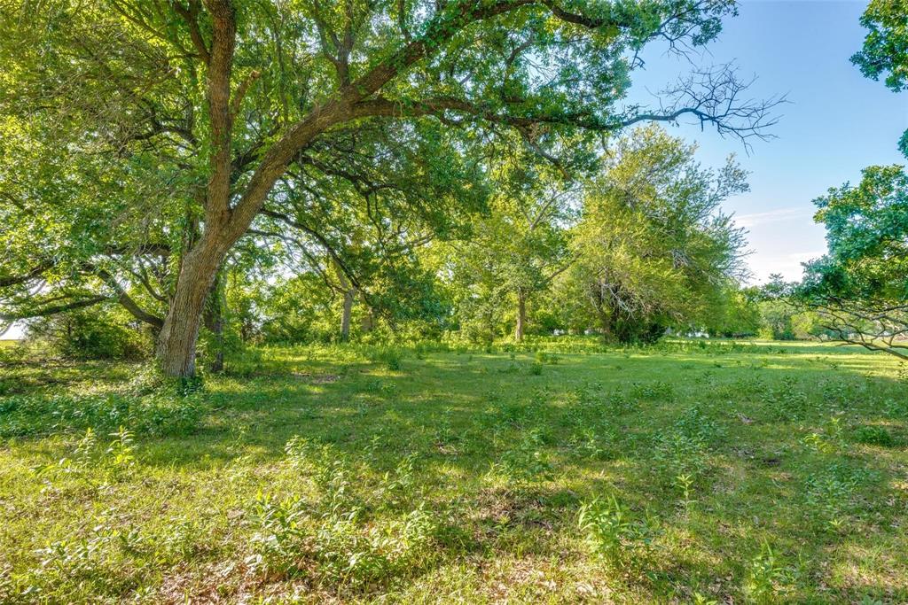 Prime investment opportunity. 61± acres along the Hwy 377 growth corridor. Directly outside the Pilot Point City limits. Adjacent to planned development, Windrose. 540' of road frontage long Hwy 377, and two additional access points through deeded easement. Deed easement marked as 2 lane collector in Pilot Point's master thoroghfare plan. Water on property and sewer available.  Ag Exempt, mix of grazing and cropland. No flood Plain. Abundant wildlife.