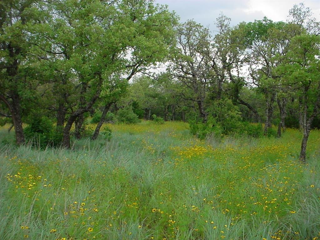 Perfect location with a nice wooded lot to build your  dream home. Breathtaking views from the hill that goes down to walking trails. Located in the prestigious gated community of 7R Ranch, with plenty of hiking, biking, and horseback trails and fishing. They have a great community center and work out facility.  Easy access to Highways, and metro plex.   Discover this great rural development today!