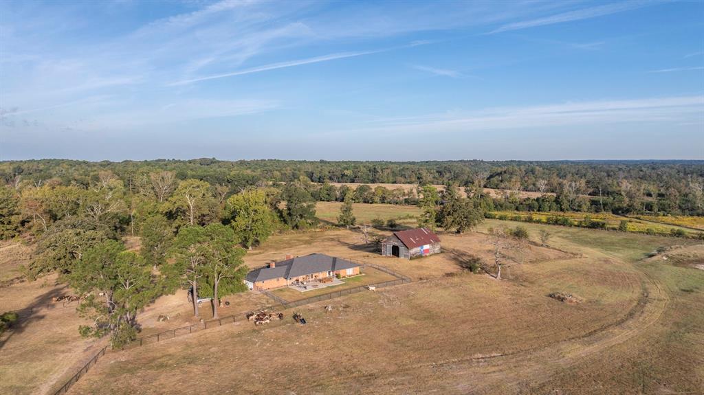 Mineola - Residential