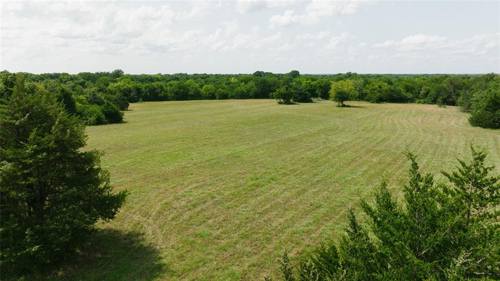 MUST SEE!!! This beautiful piece of property offers some trees, grassland and a pond in a serene and peaceful setting. It is located 3.5 miles SE of Bonham, 1 mile from Bonham State Park and 3-5 miles to Bois D'Arc lake. Currently ag tax exemption exists. This property has a newly installed water meter with electricity available nearby. Option exists to purchase adjoining 20 acres. This is the perfect spot to build your dream home. Don't miss this opportunity!