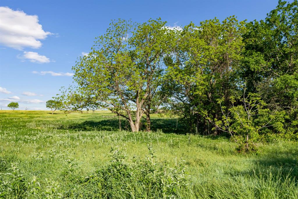 acreage - Farm