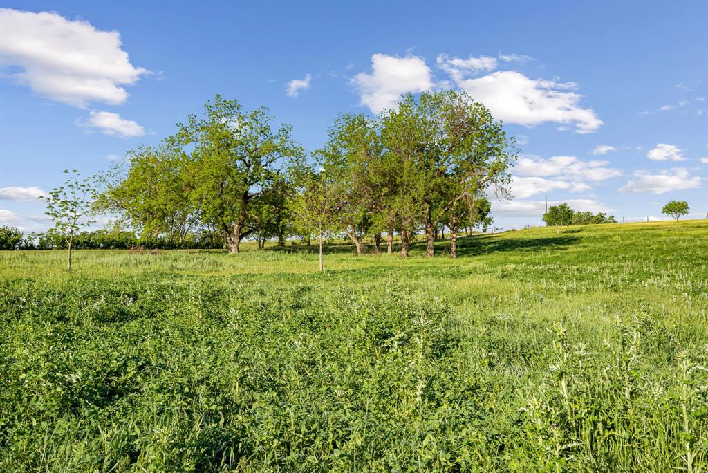 acreage - Farm